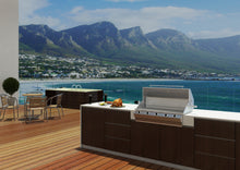 Load image into Gallery viewer, Sizzler Gas Braai - 4 Burner